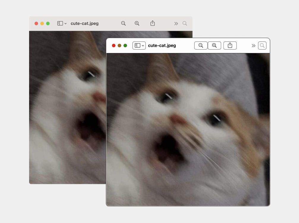 Comparing windows in normal mode and contrast-enhanced mode in macOS. In both windows, a picture of a screaming cat called «cute-cat.jpeg» is open. You can see controls for closing, expanding, zooming in and out, as well as additional settings.
