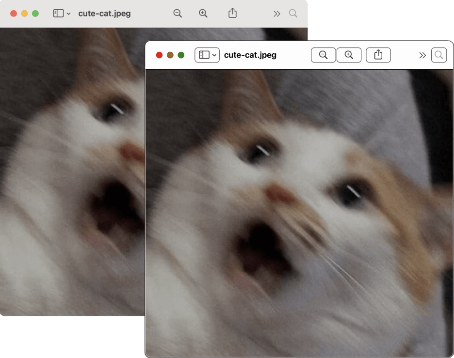 Сравнение окон в обычном режиме и в режиме повышенной контрастности в macOS. В обоих окнах открыта картинка с кричащим котом, которая называется «cute-cat.jpeg». Видны элементы управления для закрытия, разворачивания, увеличения и уменьшения, а ещё дополнительные настройки.